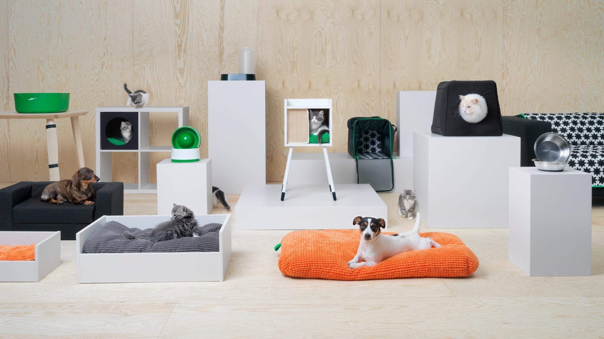 Ikea pet range ‘covers all the basics’