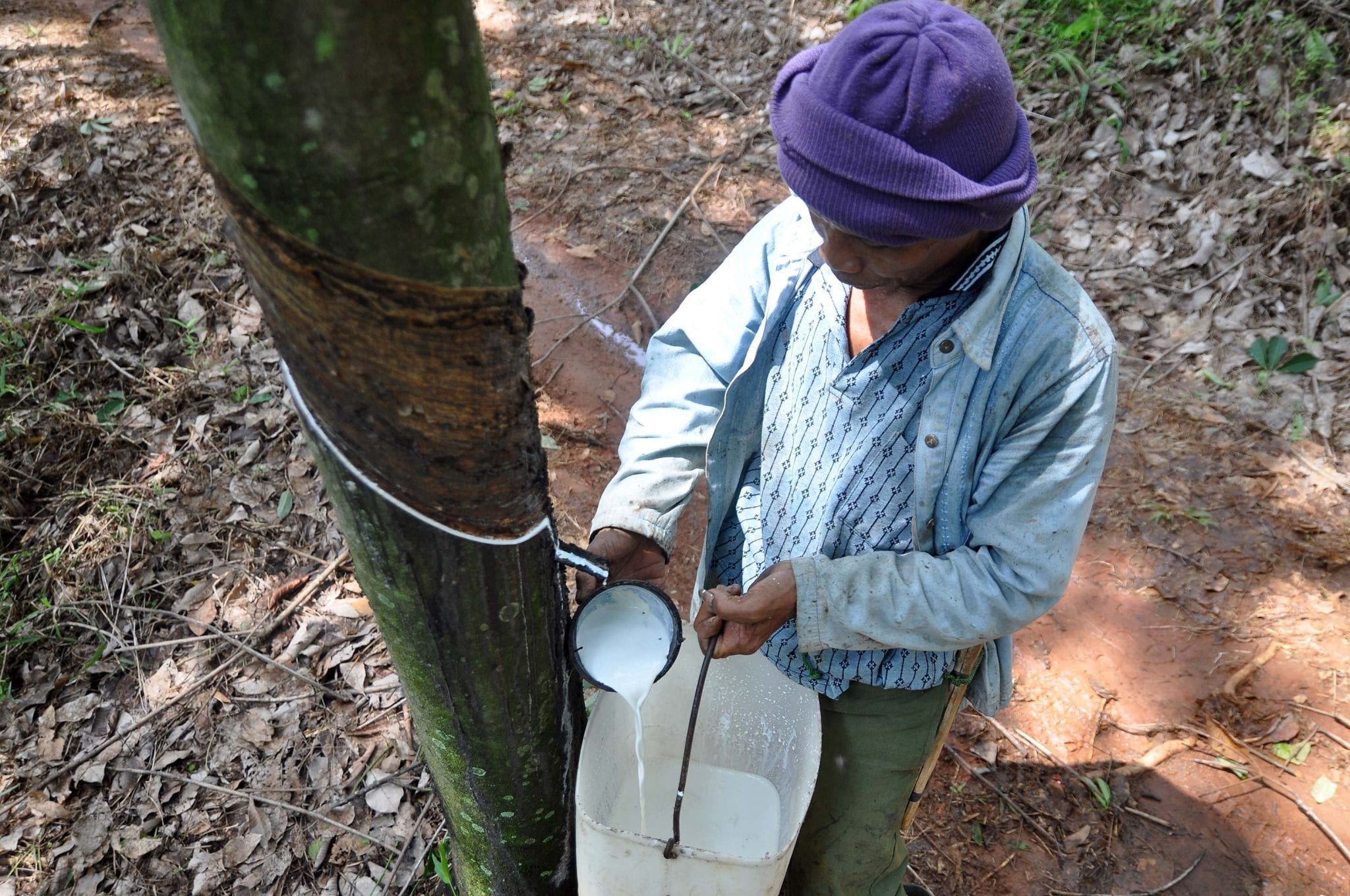Rubber firms’ profits surge