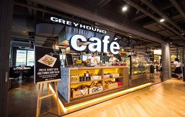greyhound