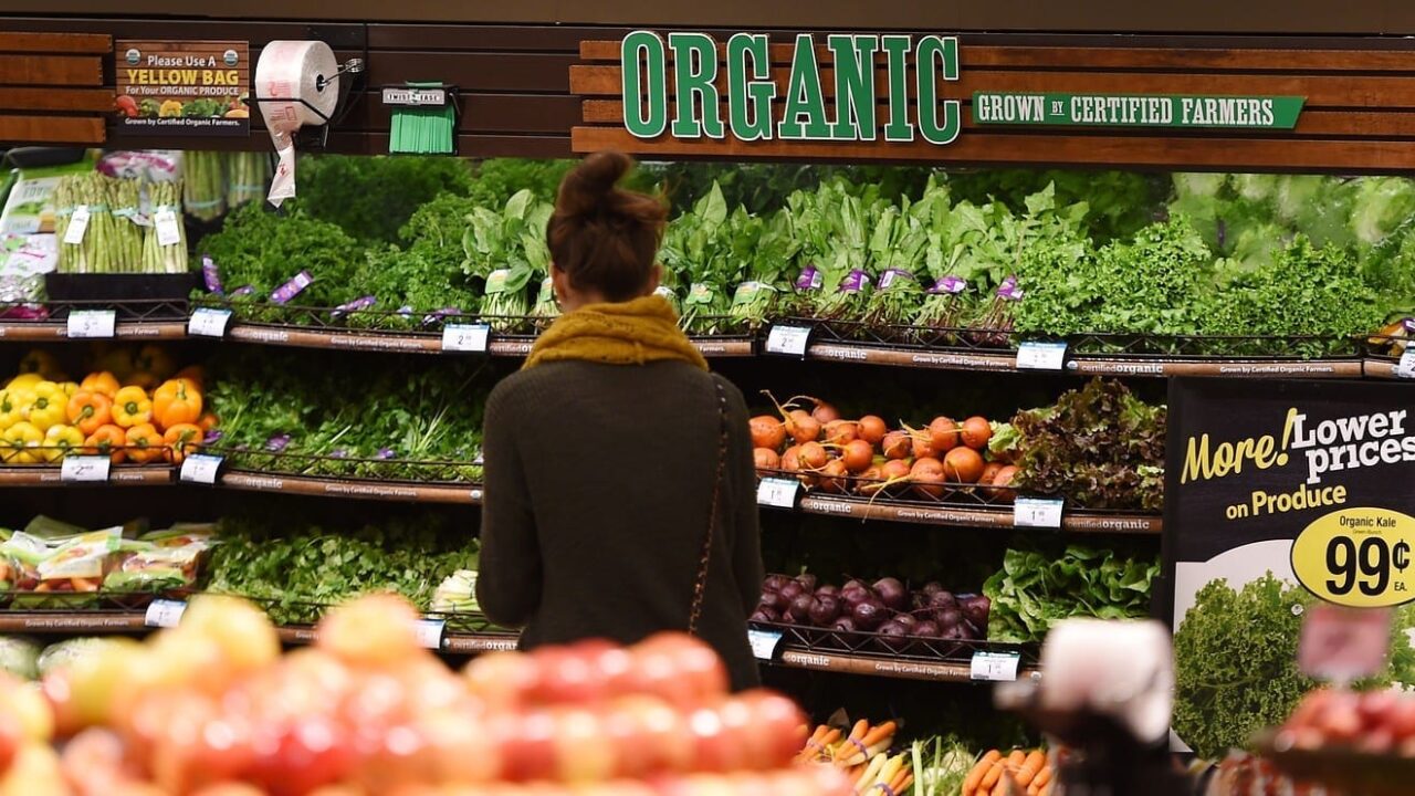 organic food
