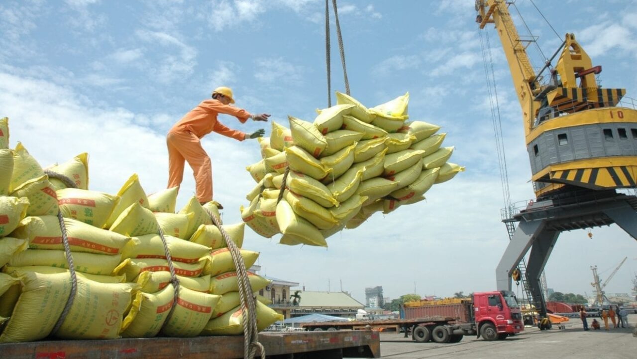 Despite Shipping 7 Million Tonnes, Vietnam Rice Exports Witness Slump Amid Falling Prices and Weak Global Demand
