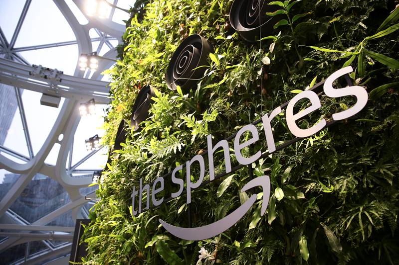 Wow! Amazon opens rainforest office space ‘Spheres’ in Seattle