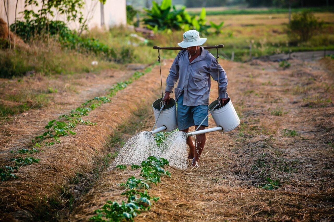 vietnam agriculture