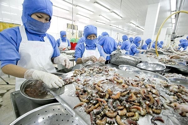 vietnam seafood export