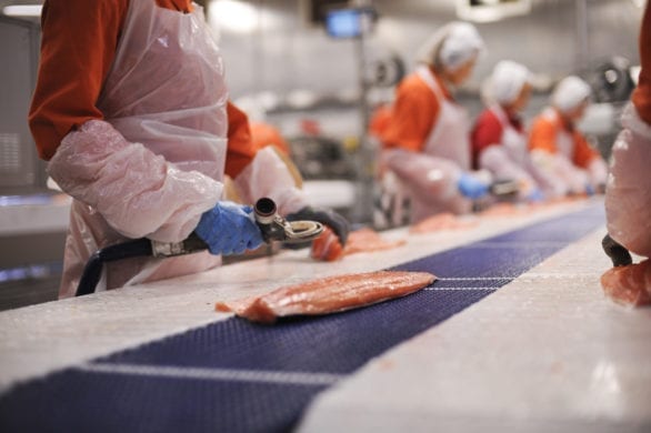 Marine Harvest to open 2000 salmon restaurants in China