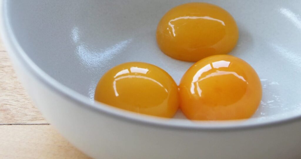egg