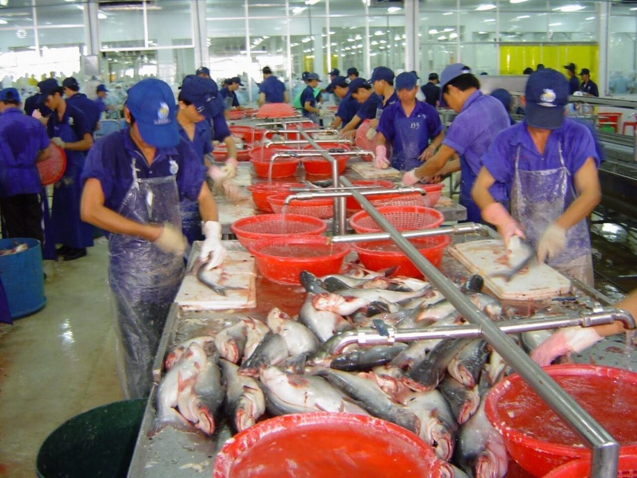 fish processing vietnam