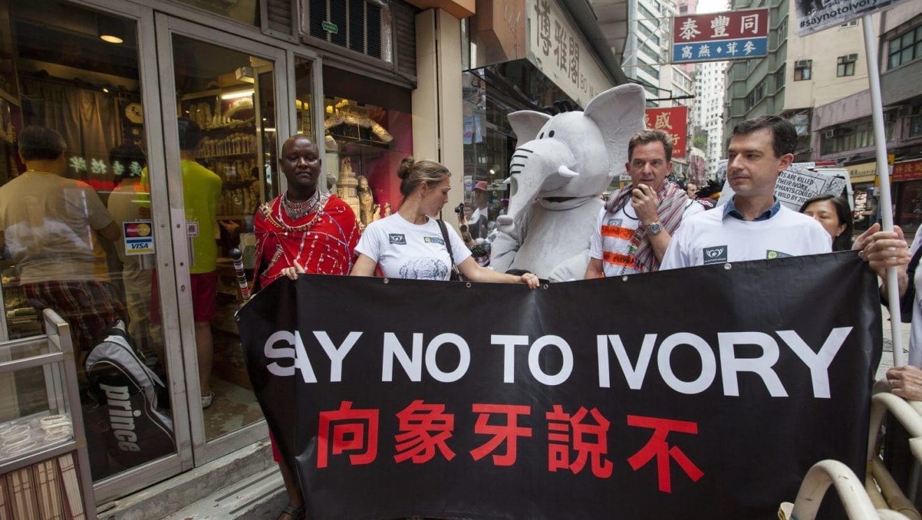 Hong Kong Bans Trade In Ivory