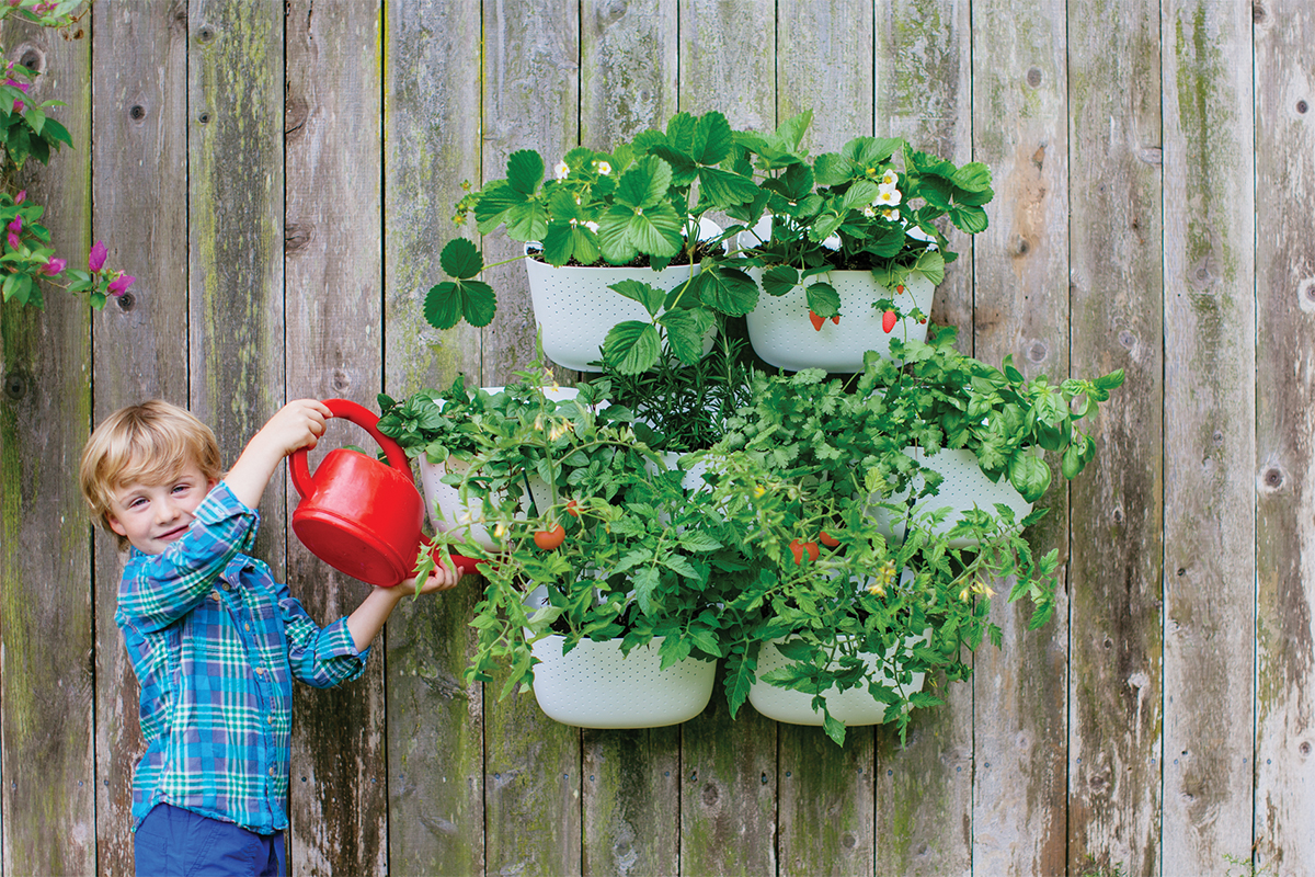 Pocket Greens introduces a brand new travelling farm