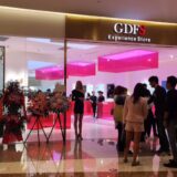 GDFS2