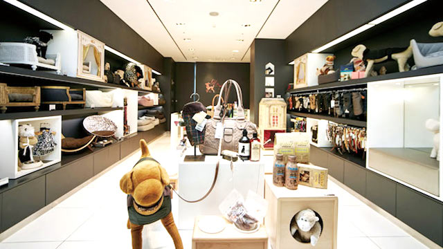 pet boutique