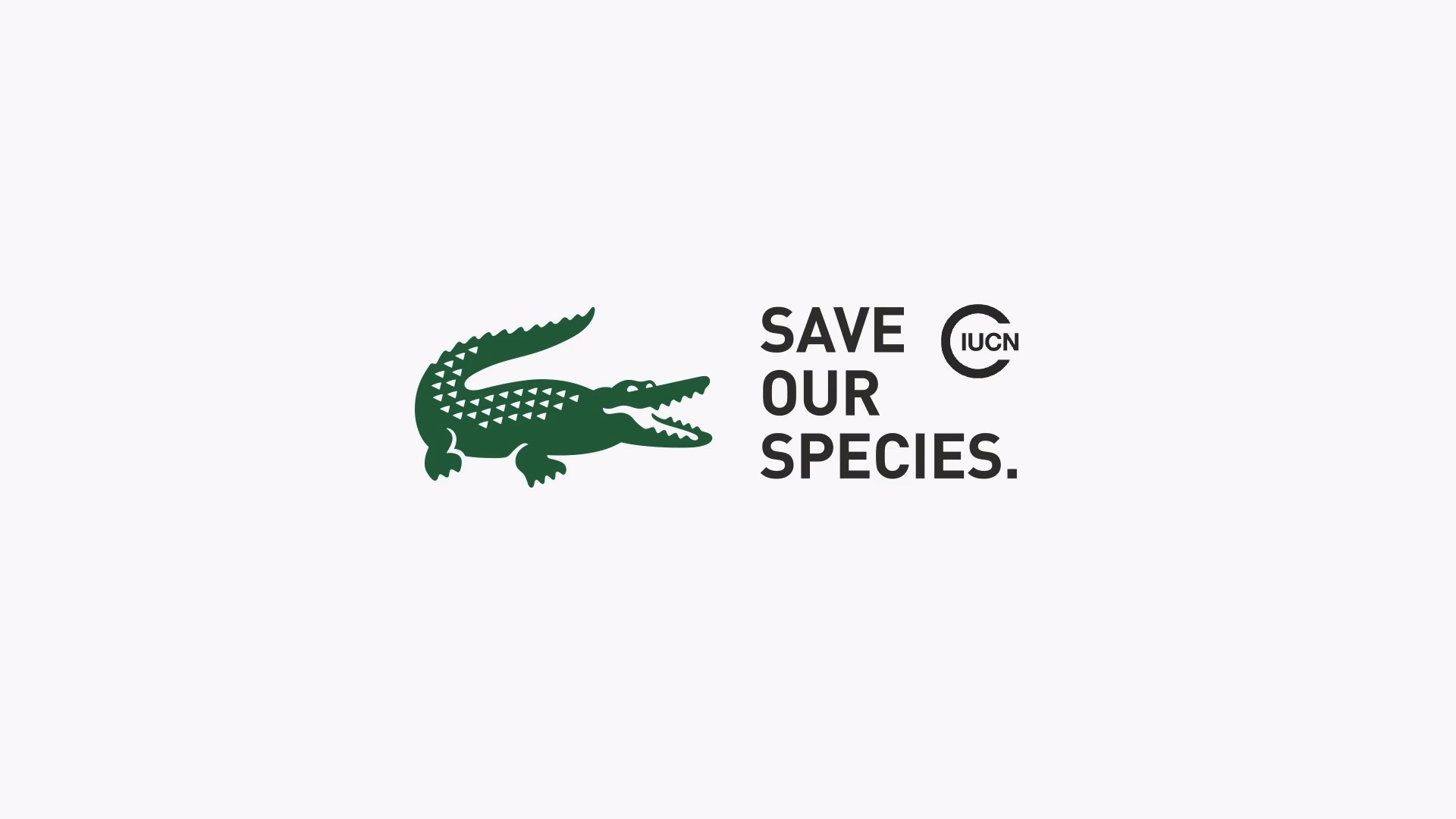 Lacoste adopts temporary logo