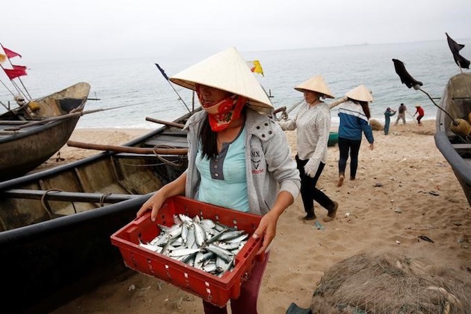 fishery seafood
