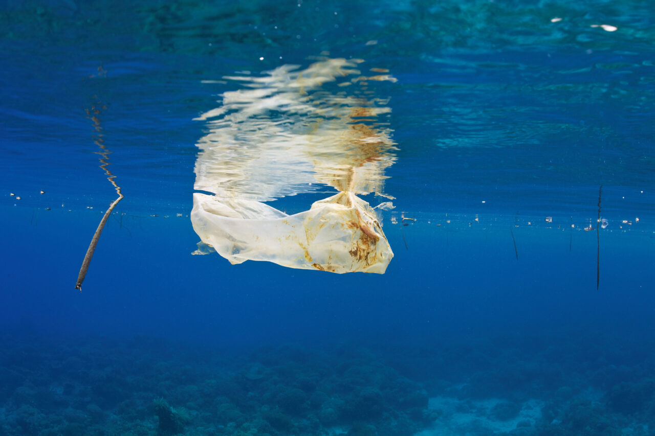 plastic
