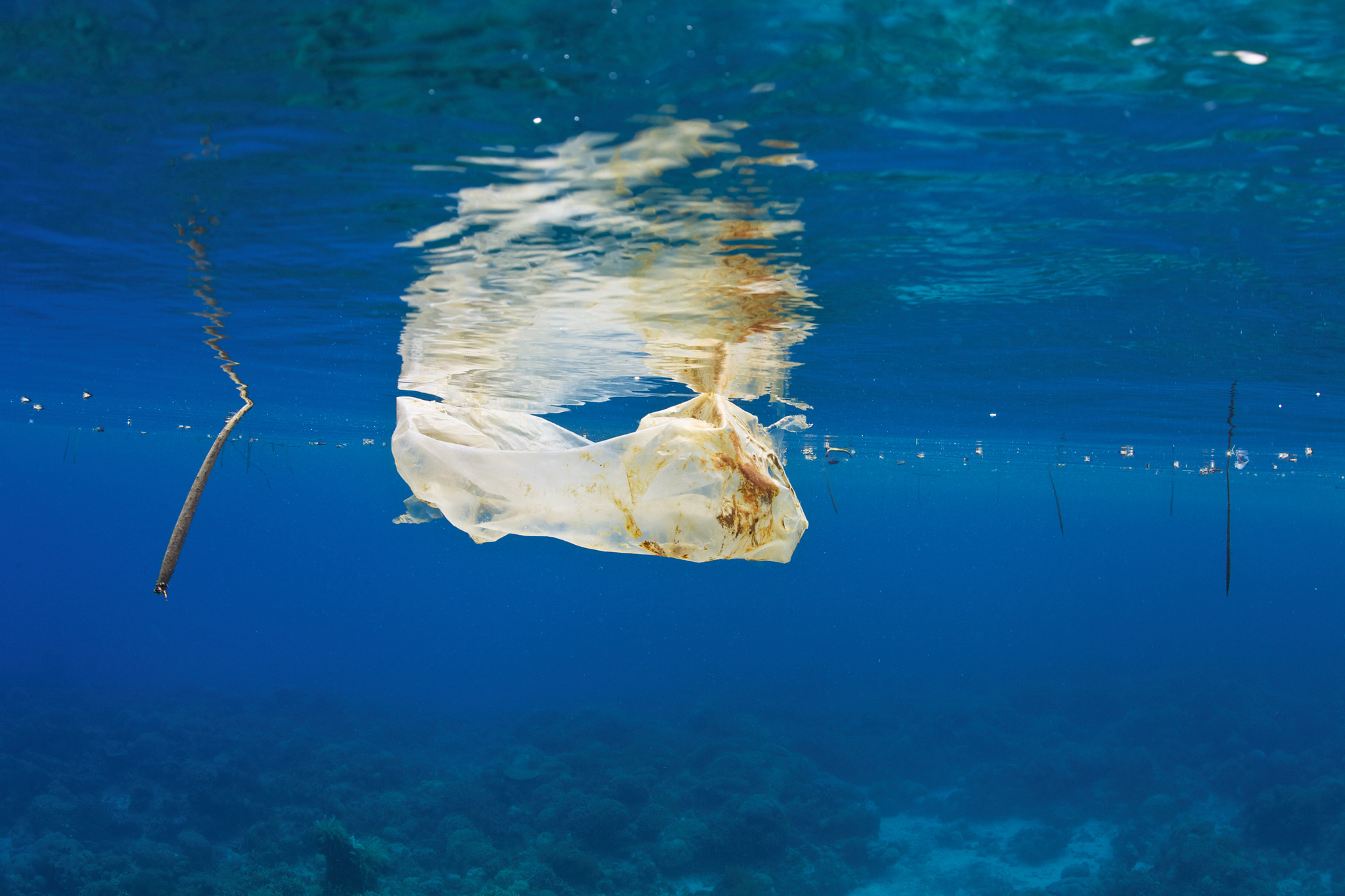 German retailer removes single-use products to combat plastic pollution
