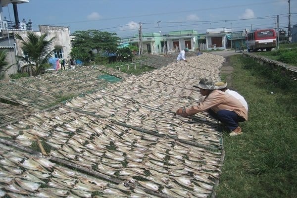 seafood vietnam indonesia asia