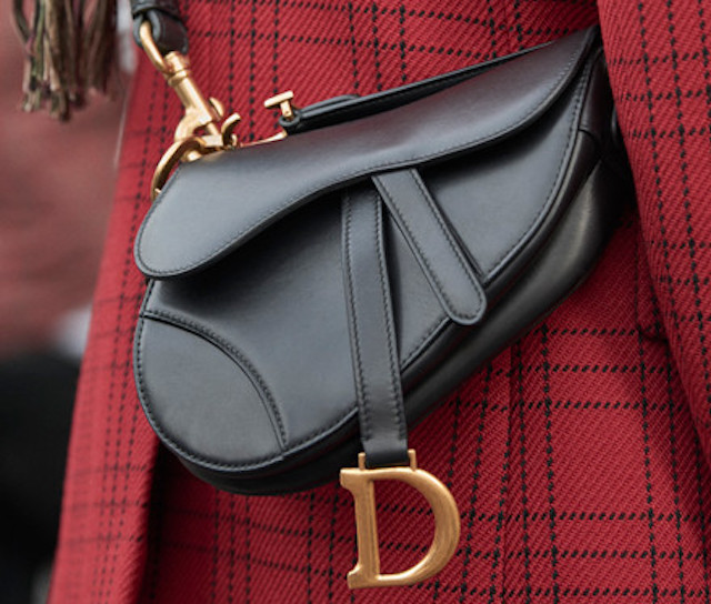 Saddle Bag Dior