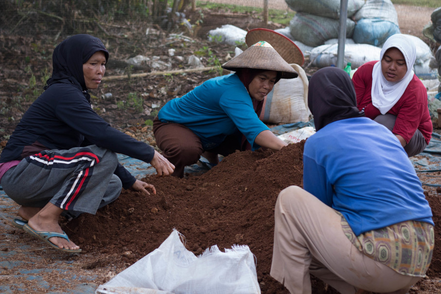 The Long Road to Reviving Indonesia’s Cacao Industry