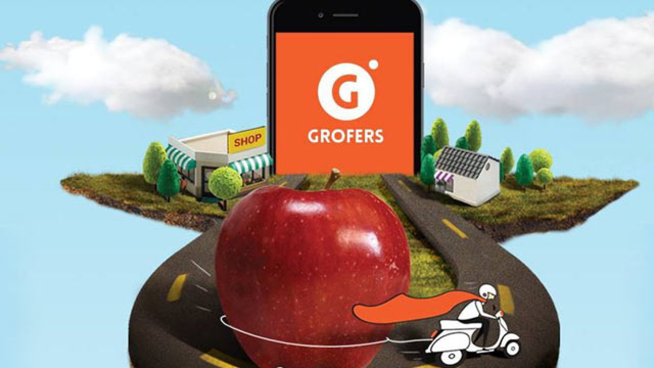 Grofers eyes over Rs 2,500 cr revenue in FY19