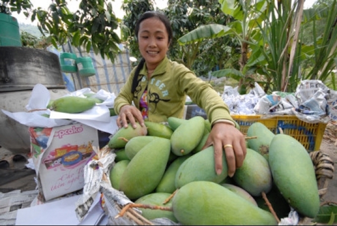vietnam agro
