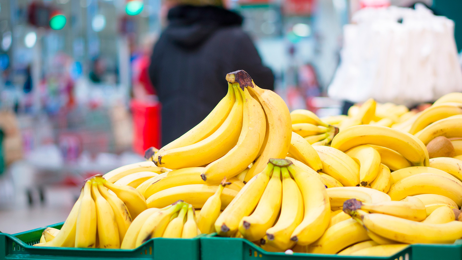Vietnam to expand banana farming for China export