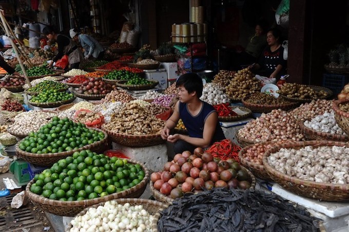 vietnam agriculture