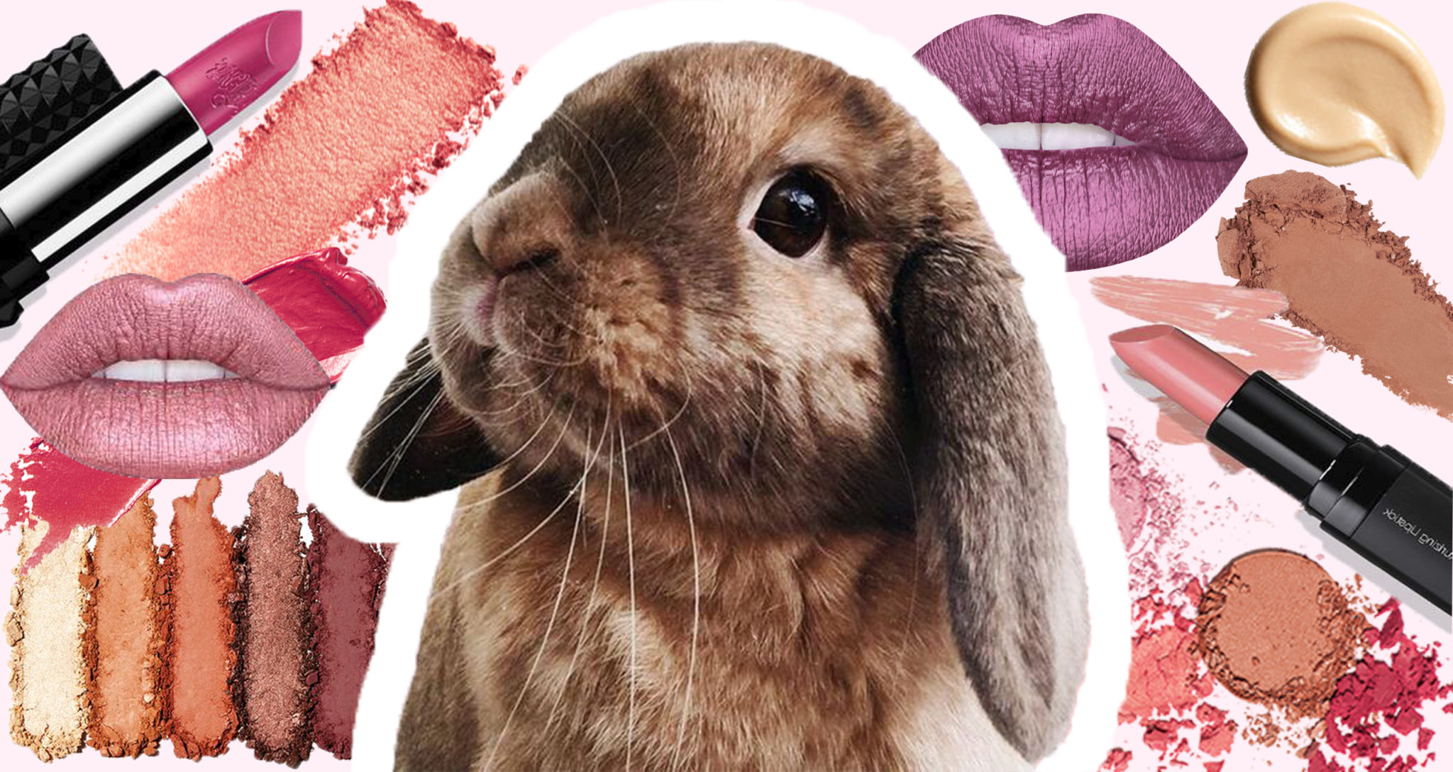 Is it the end of cosmetics testing on animals for China?