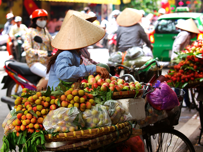 vietnam retail