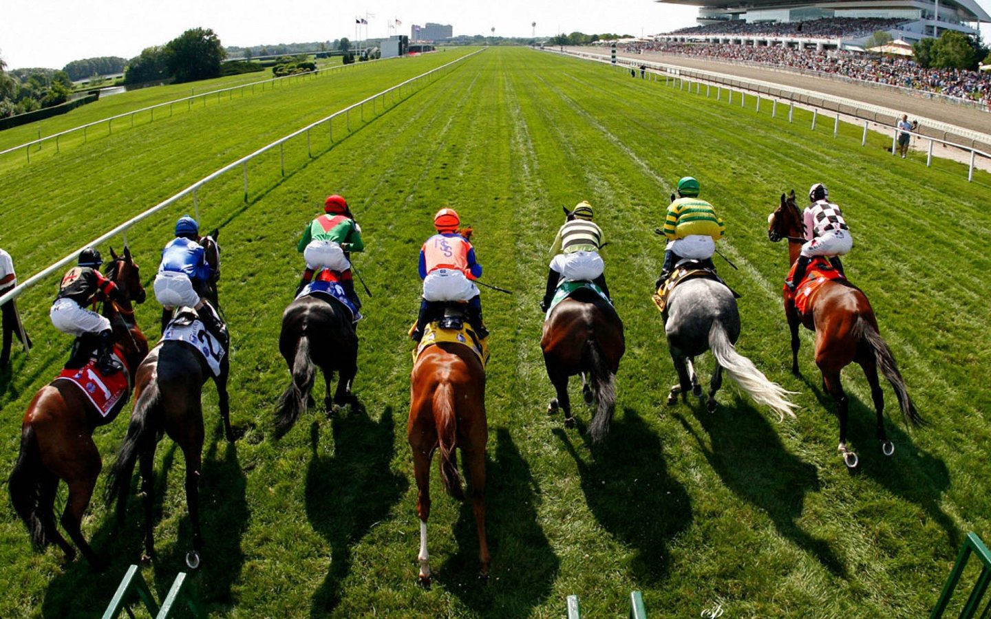 Hanoi revives $500 million horse racing, entertainment complex