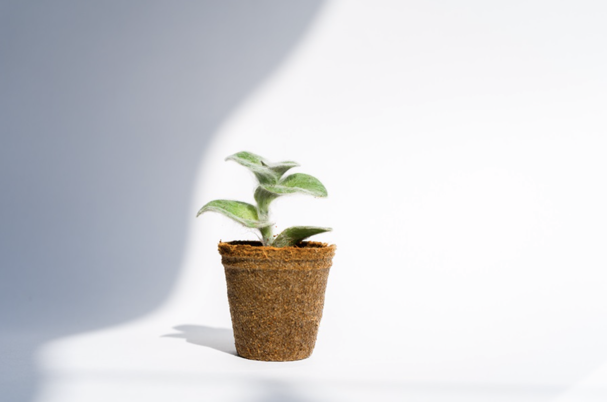 The rise and rise of retailer recycling, repurposing and reusing schemes
