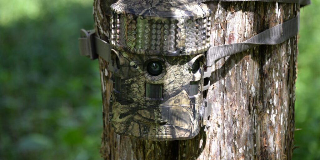 trail camera