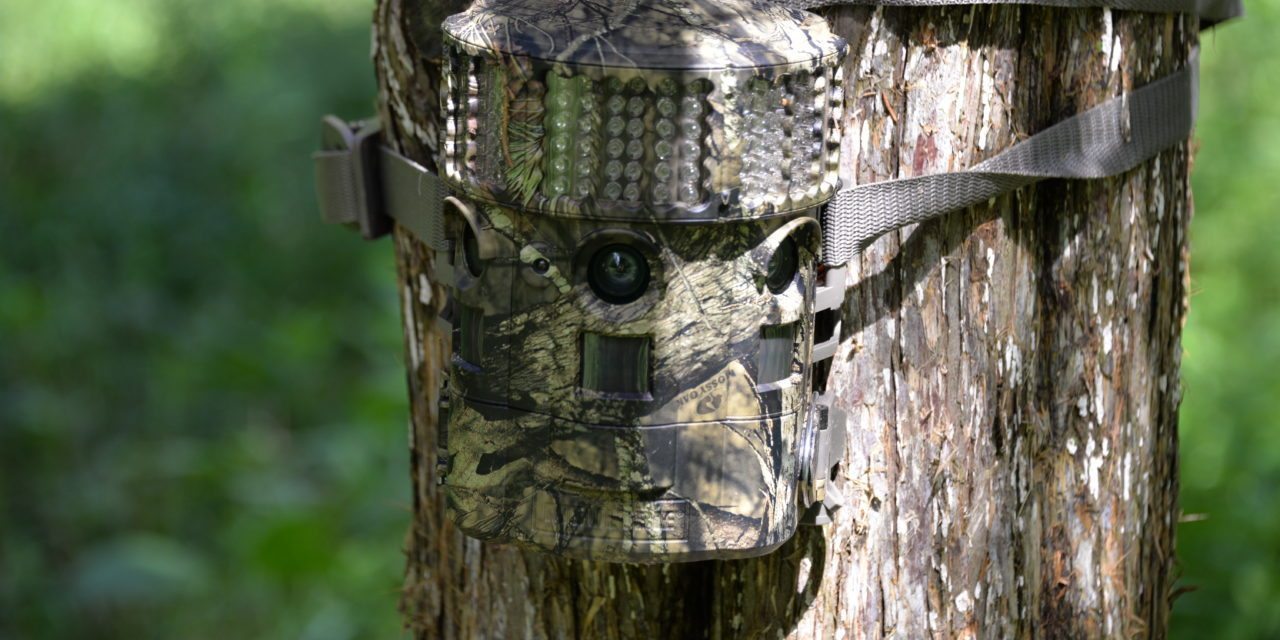 Trail Camera Market Inching Closer to Wireless Ubiquity, Global Demand to Grow at 3.5% Volume CAGR