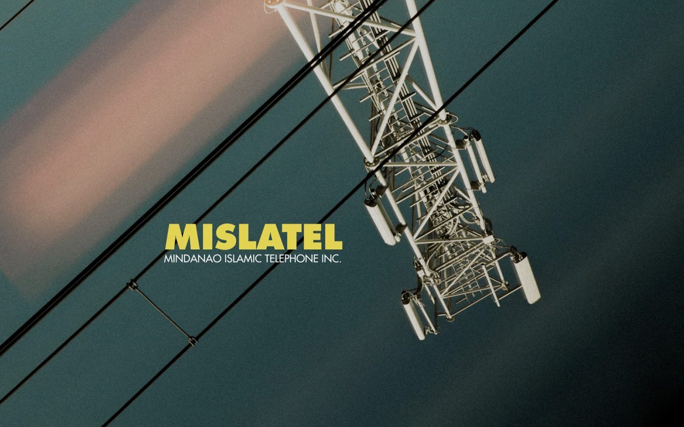 Mislatel cleared to receive congressional franchise