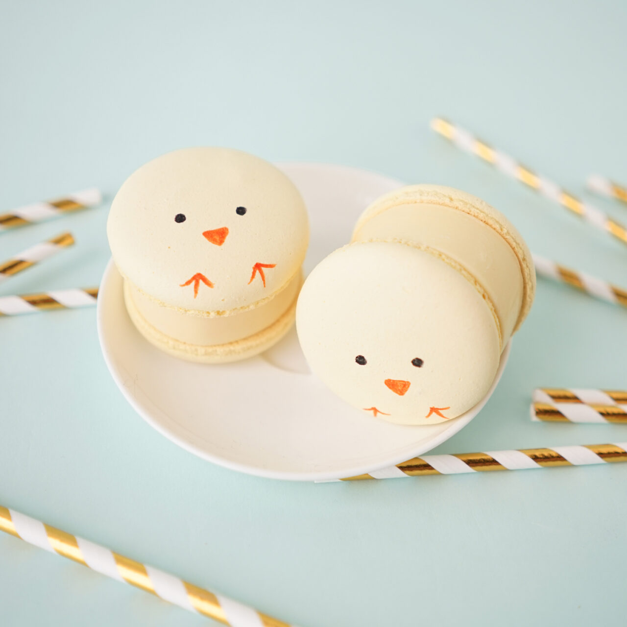 2019 04 04 VIVE Baby Chick Macacreams