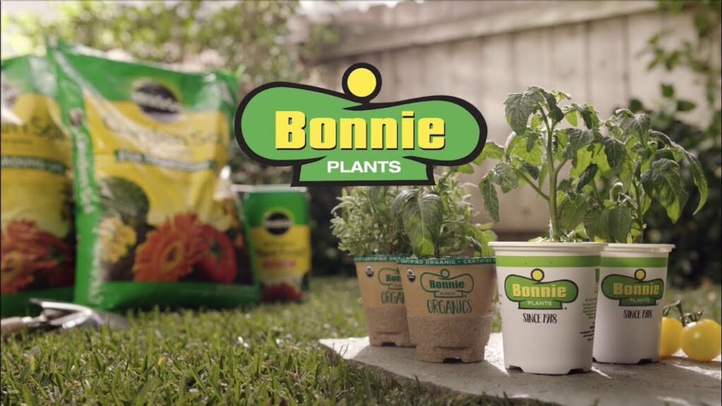 Bonnie Vegetables