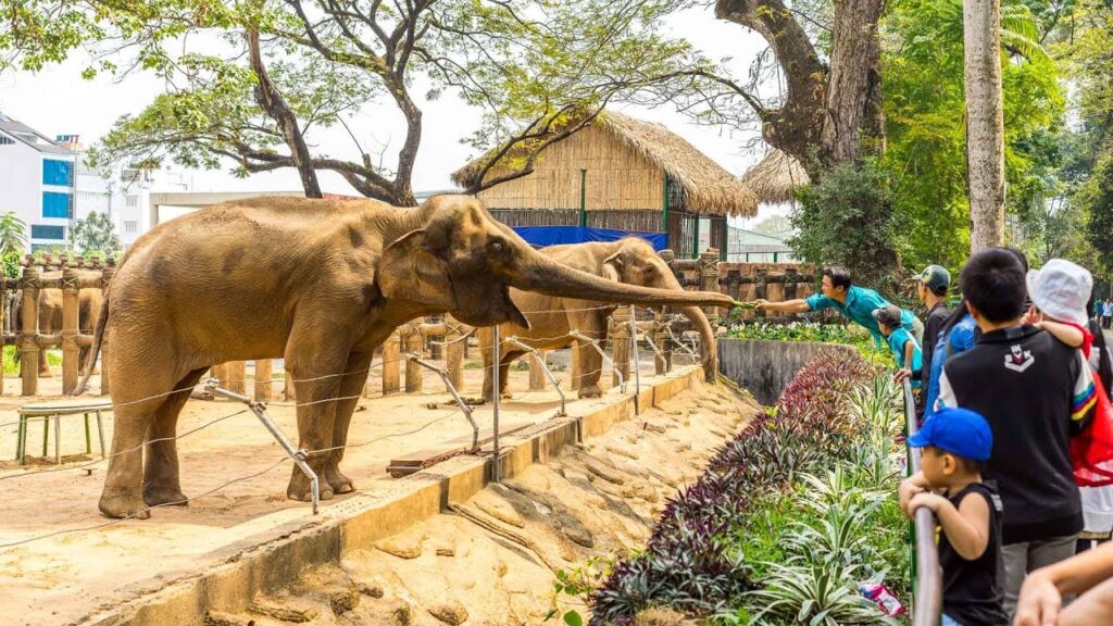 saigon zoo