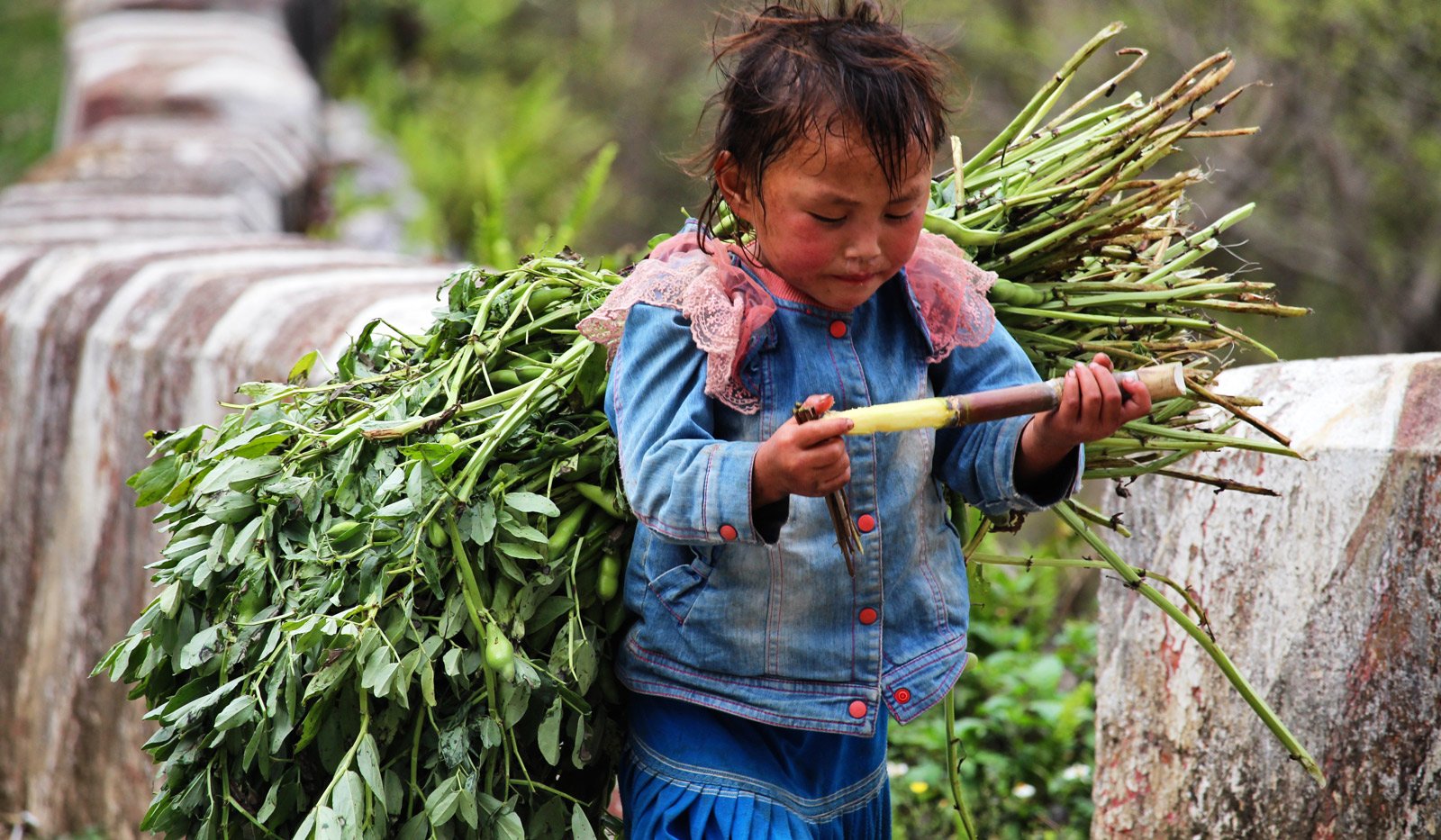 Vietnam child labor rate lower than regional average