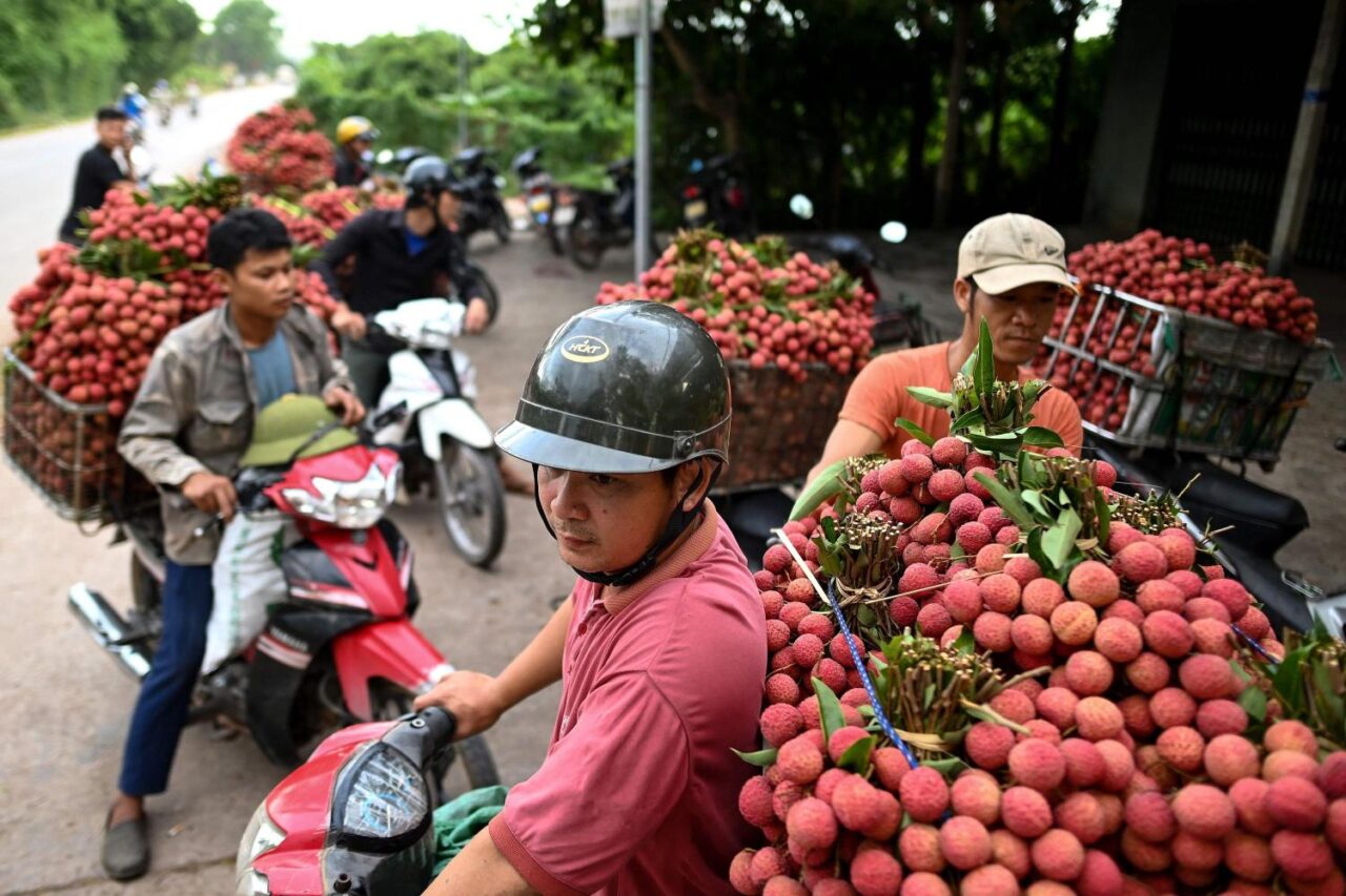 lychee