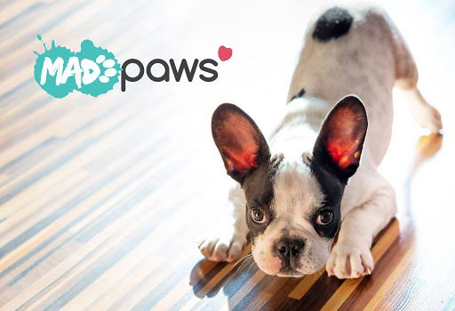Mad Paws