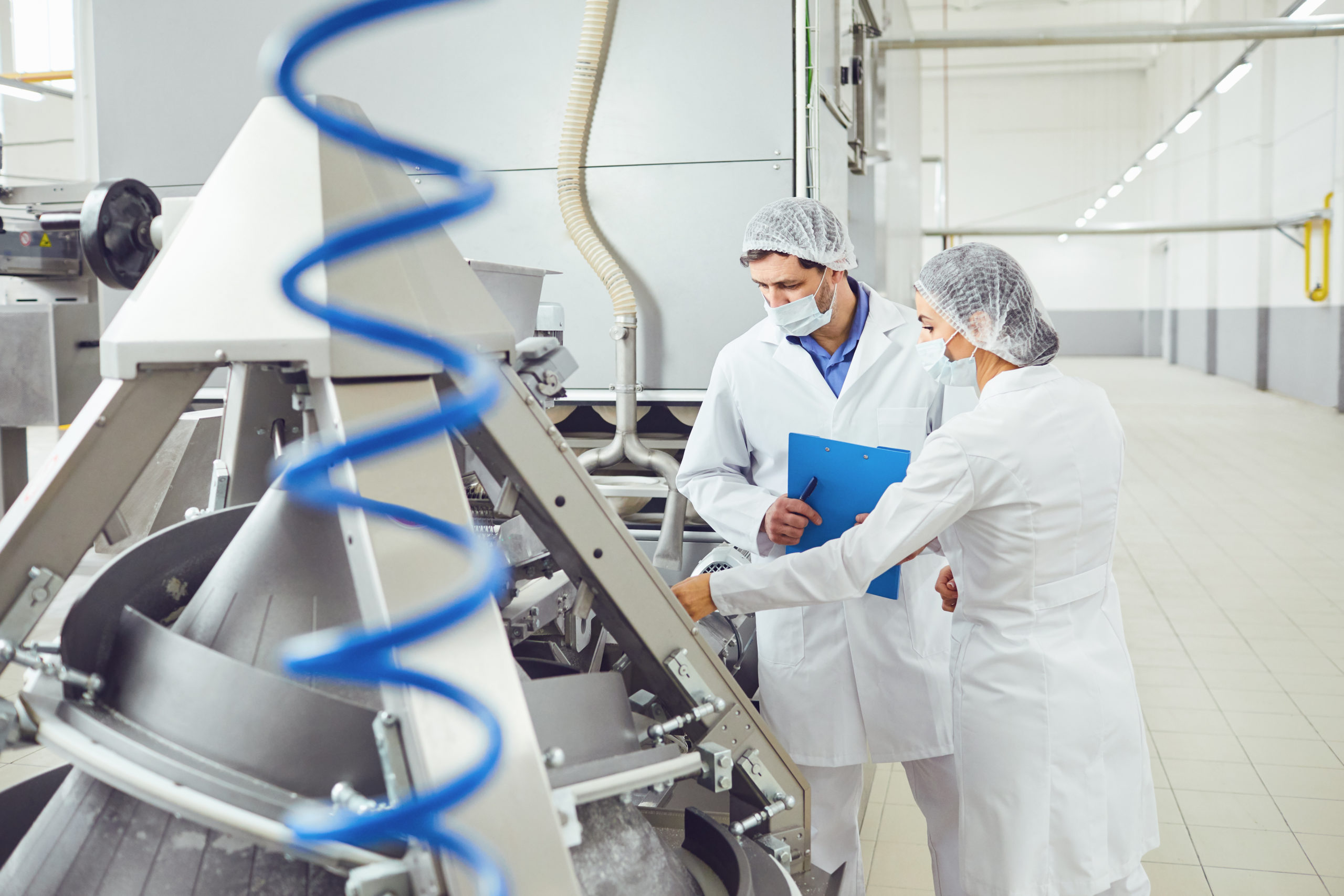 The Role Of Ribbon Mixers In The Food Industry