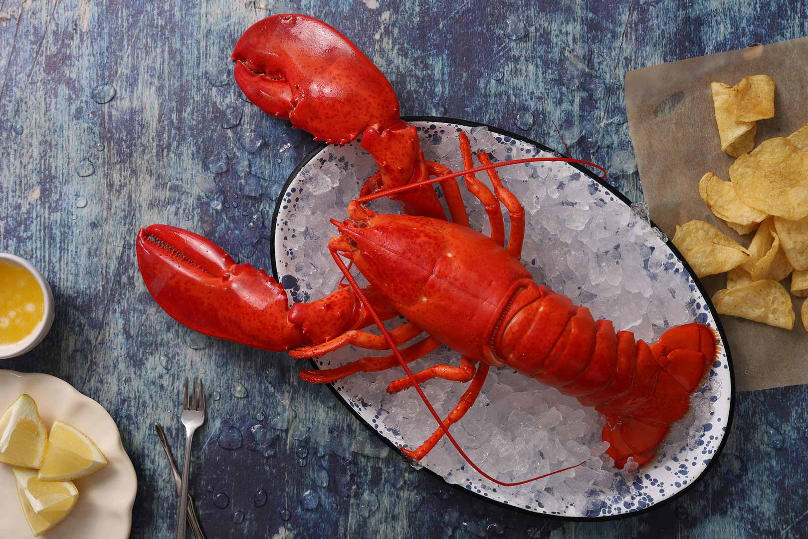 Vietnamese Lobster Exports to China Skyrocket to $506M in 5 Months, Up 44.3% YoY