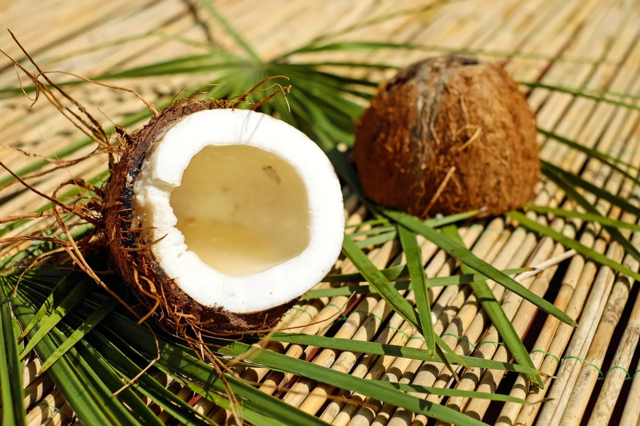 Coconut Drupe 2048x