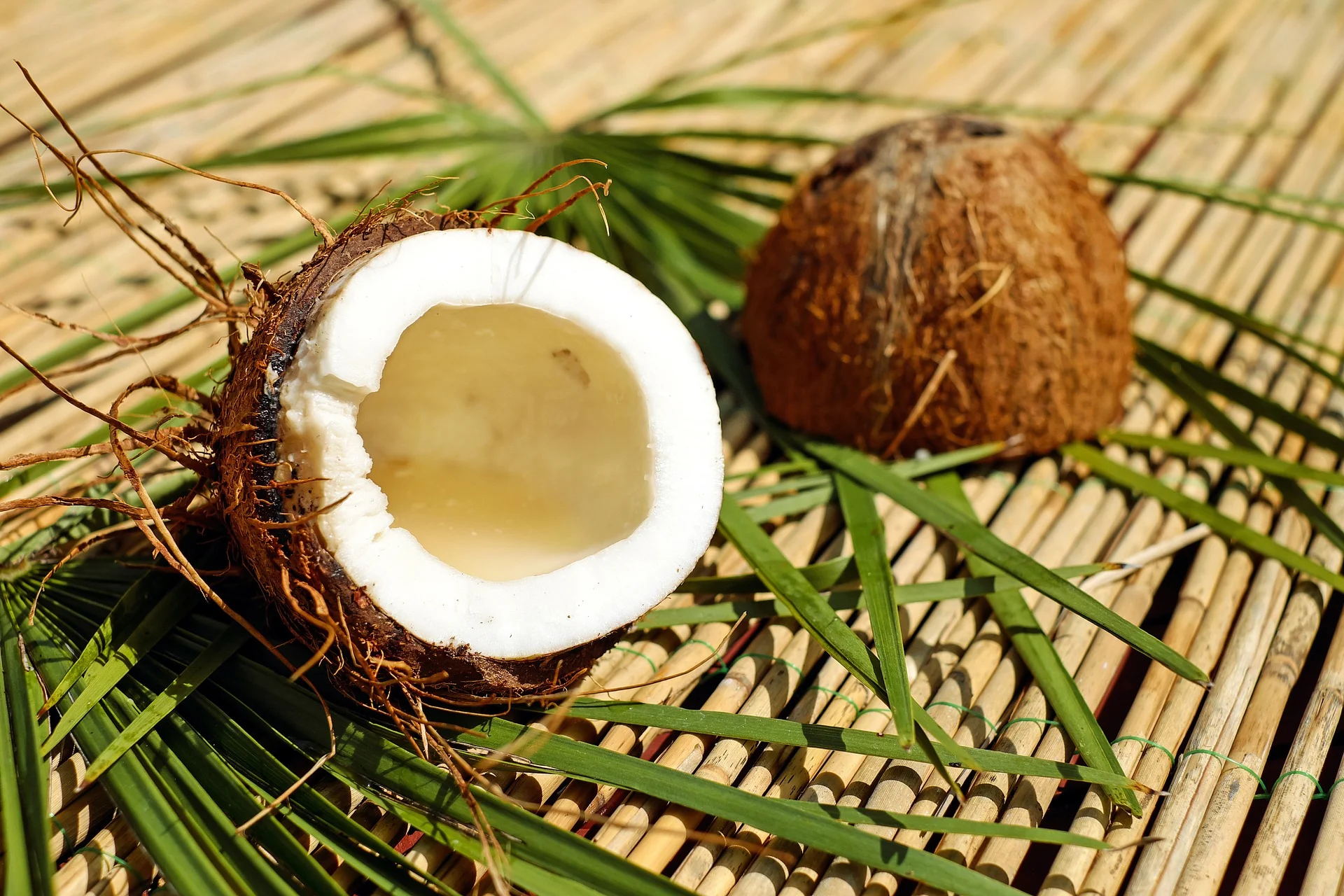 Vietnam eyes sustainable development for coconut industry