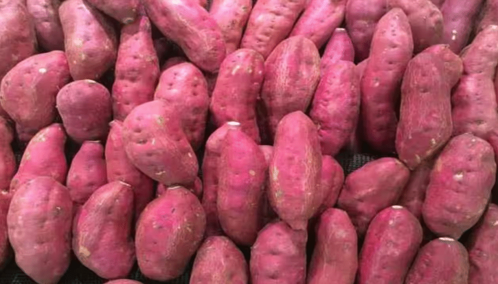 Sweet potatoes
