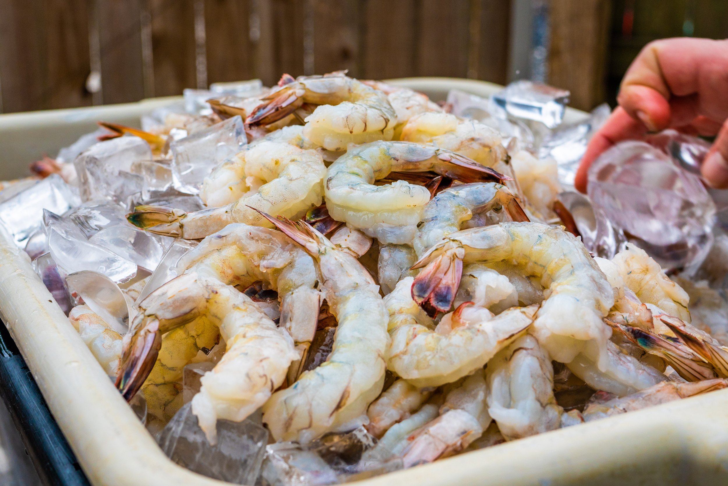 China Overtakes US as Vietnam’s Leading Shrimp Export Market in First Half of the Year