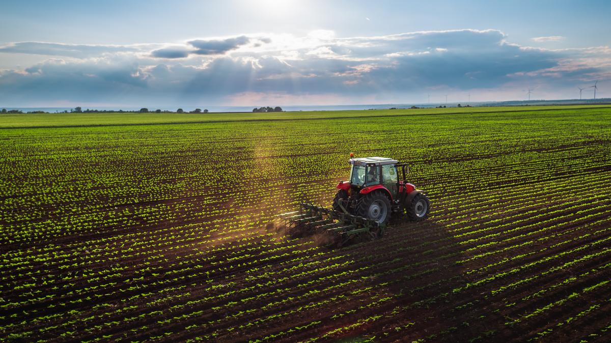 agriculture