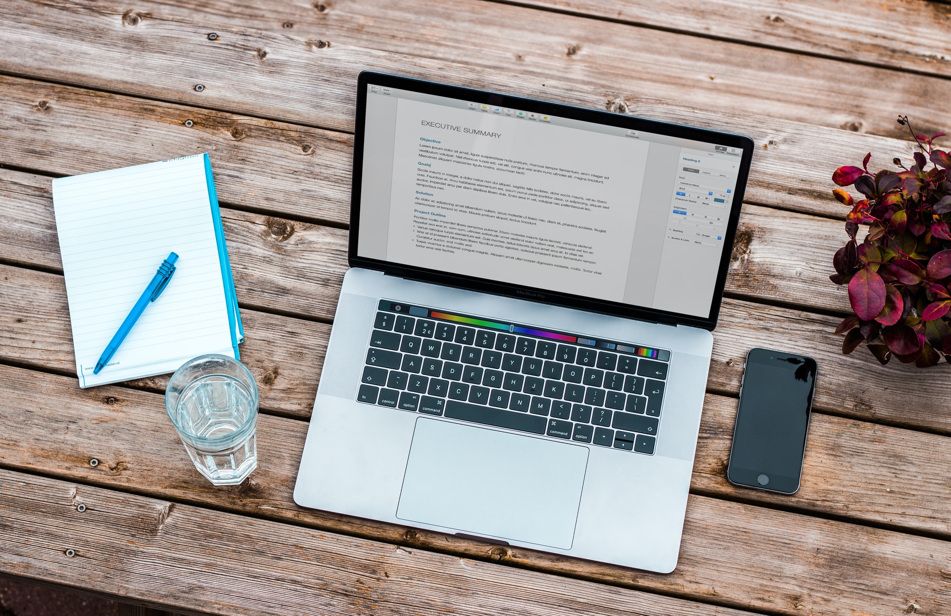 Best Essay Writing Services in the USA