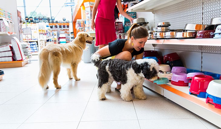 Pet Care