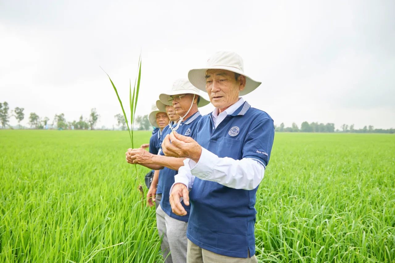 Bayer Vietnam