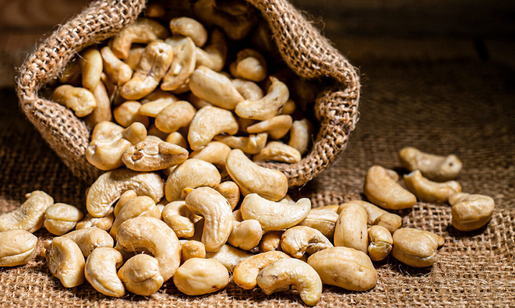 Cashew Exports